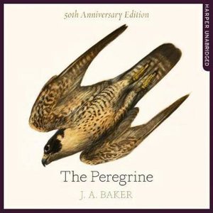 cover image of The Peregrine: 50th Anniversary Edition